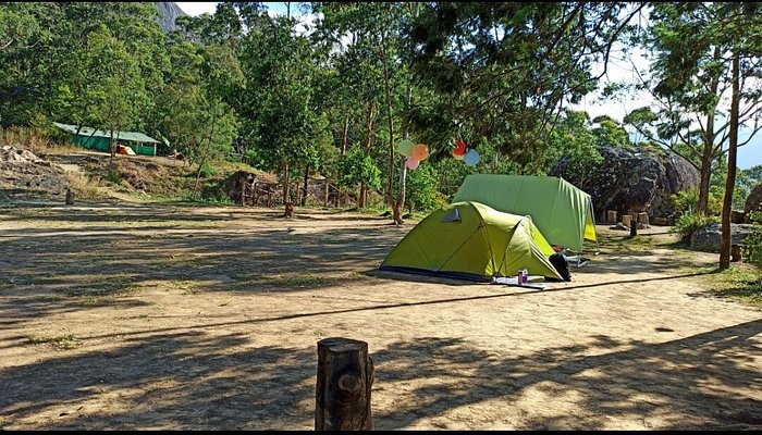 CAMP membership survey